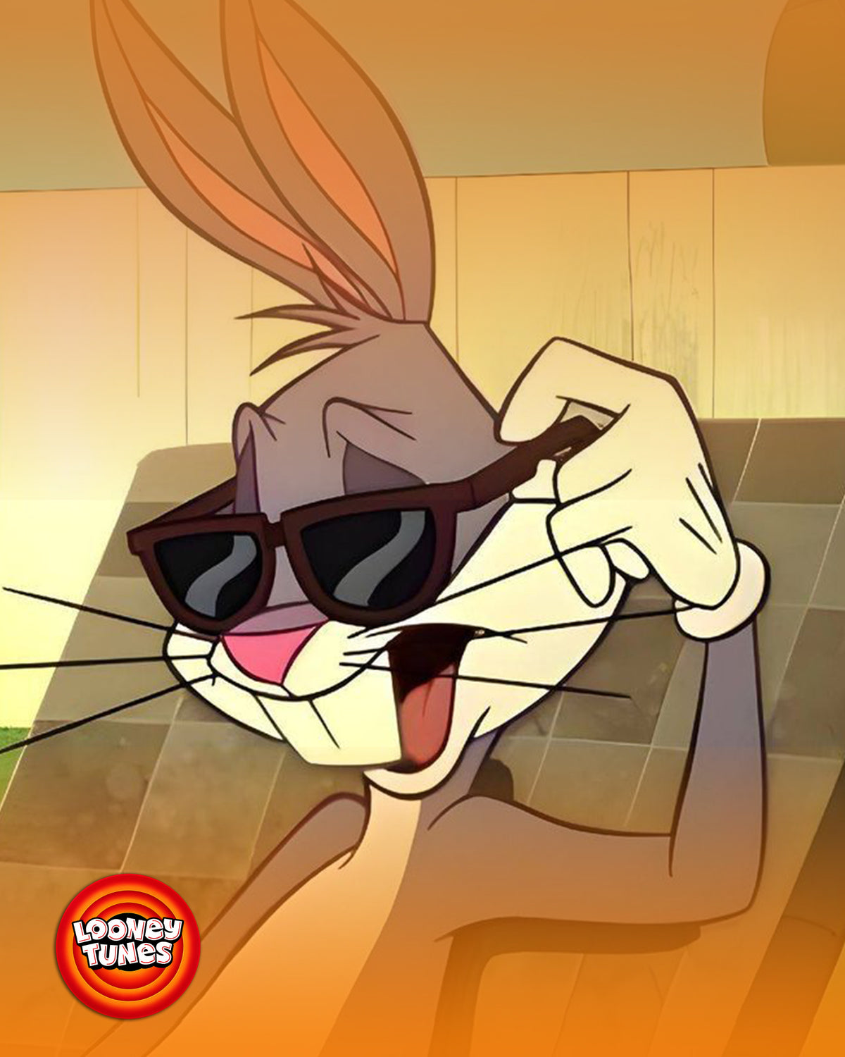 Bugs Bunny serisi